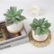 Set of 2 Artificial Agave Small Potted Succulent Plants with White Ceramic Pots & Bamboo Tray – Faux Desk & Home Decor